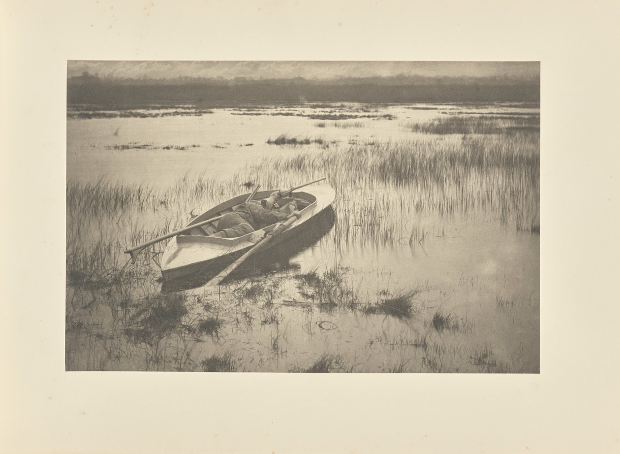 Jagthund, der sniger sig ind på fjerkræ af Peter Henry Emerson