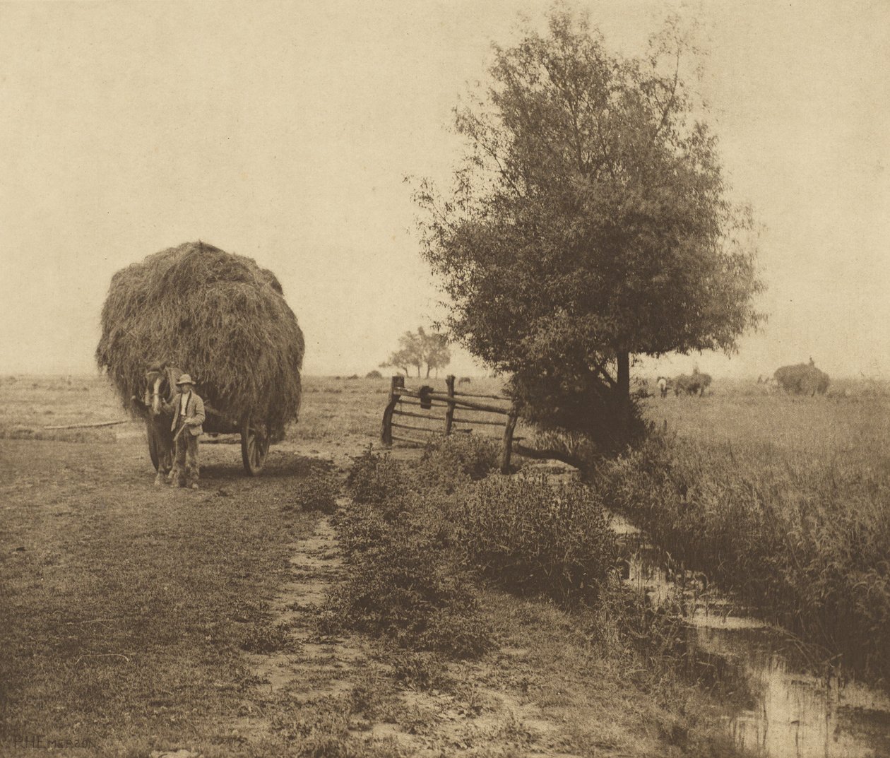På høengen. [Norfolk.] af Peter Henry Emerson