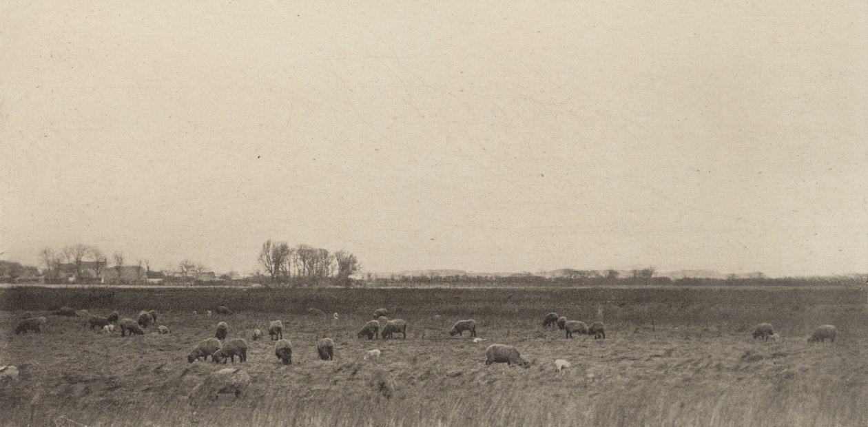 Marsk ved Vesterhavet, 1890-1891, trykt 1893. af Peter Henry Emerson