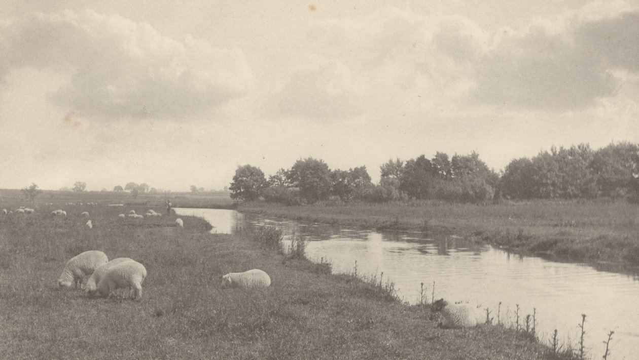 Ved floden Bure af Peter Henry Emerson