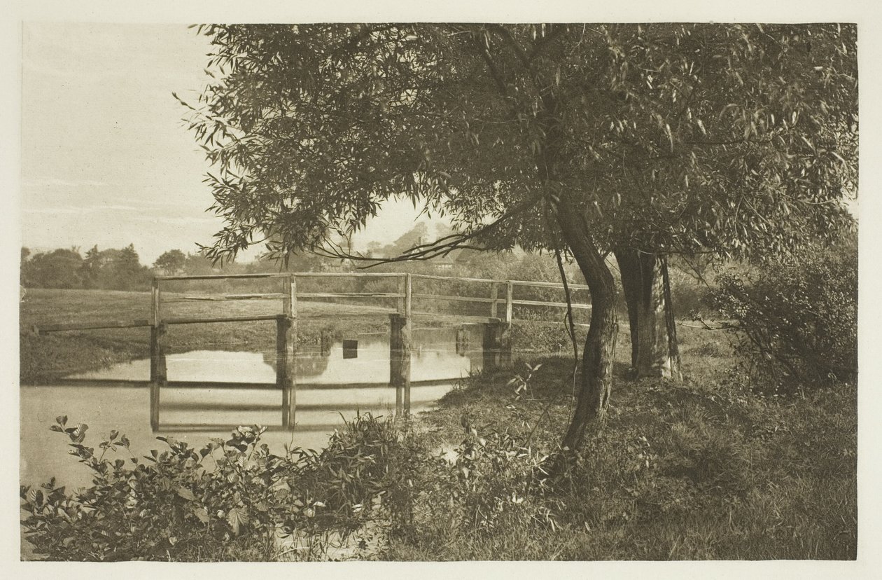 På "Sow" i nærheden af Waltons hus i Shallowford af Peter Henry Emerson