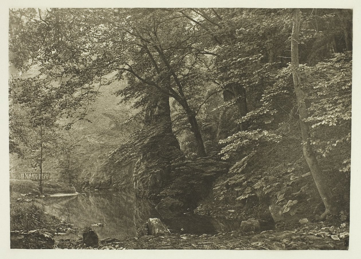 "Pike Pool" (nedefra) af Peter Henry Emerson