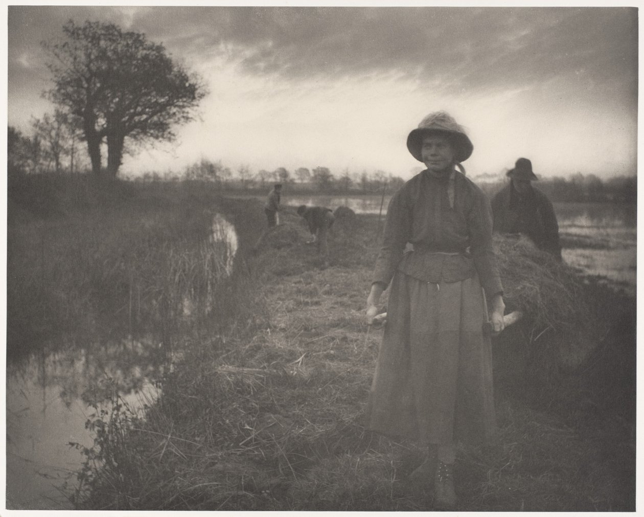 At skubbe marskhø med stager af Peter Henry Emerson