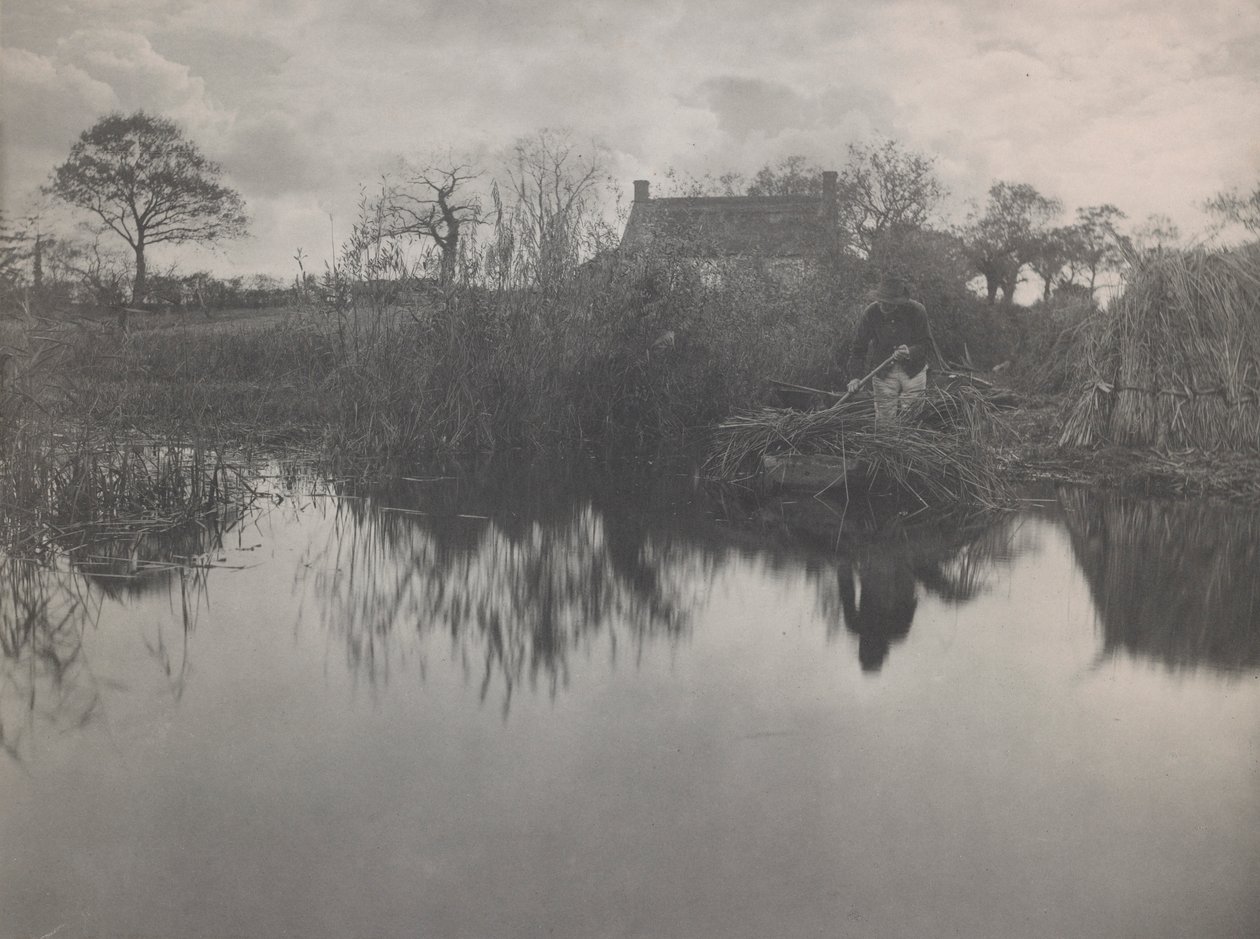 Quanting the Gladdon af Peter Henry Emerson