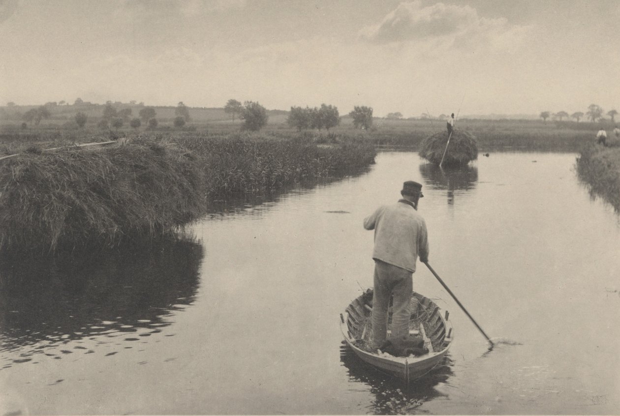 Quanting the Marsh Hay af Peter Henry Emerson