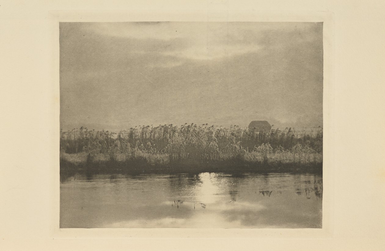 Rimkrystaller af Peter Henry Emerson