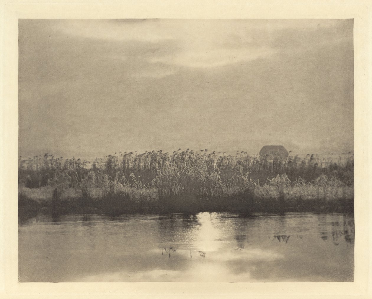 Rime Crystals,i eller før 1895 (foto) af Peter Henry Emerson