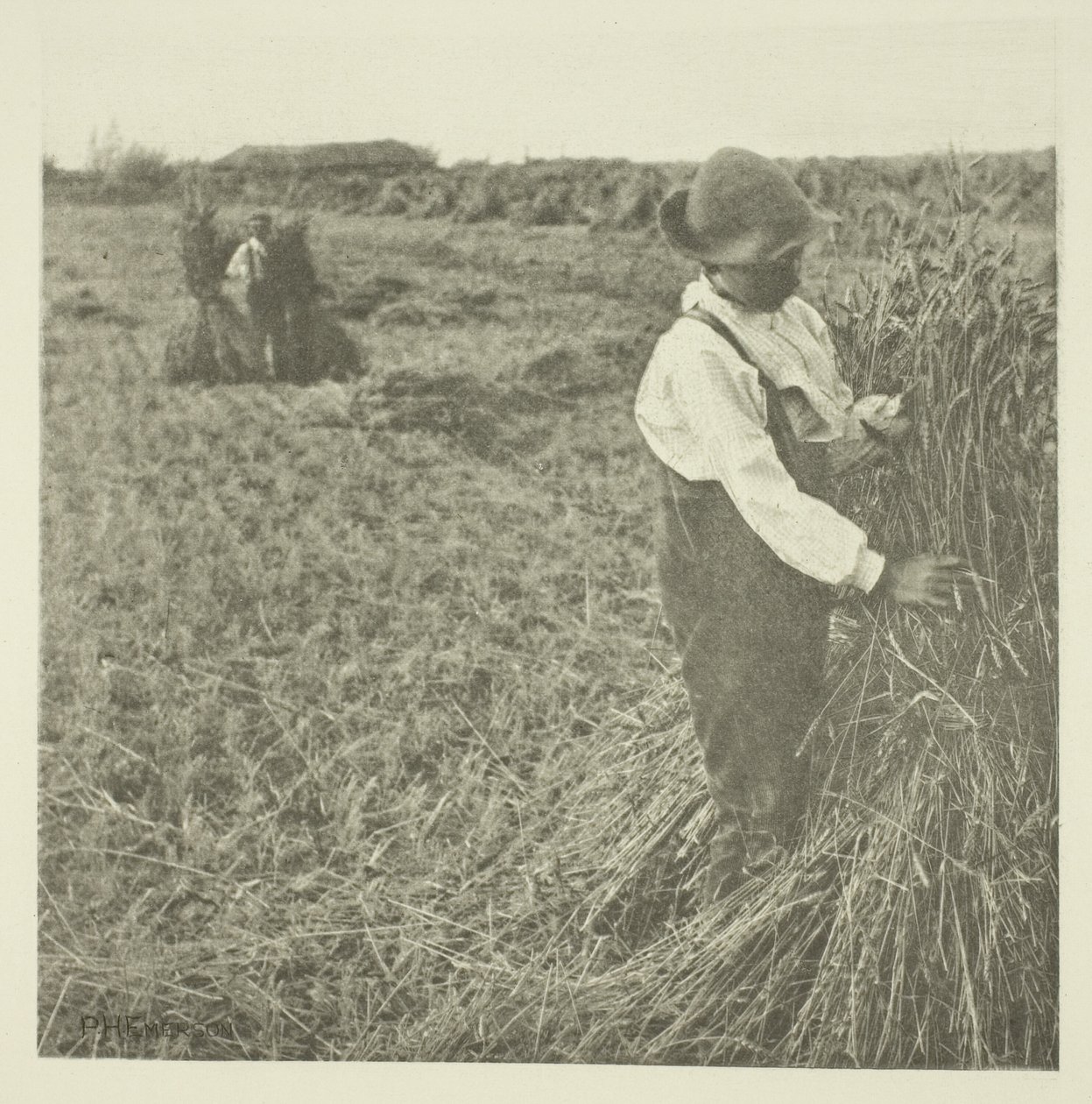 Shocking Corn (Norfolk) af Peter Henry Emerson