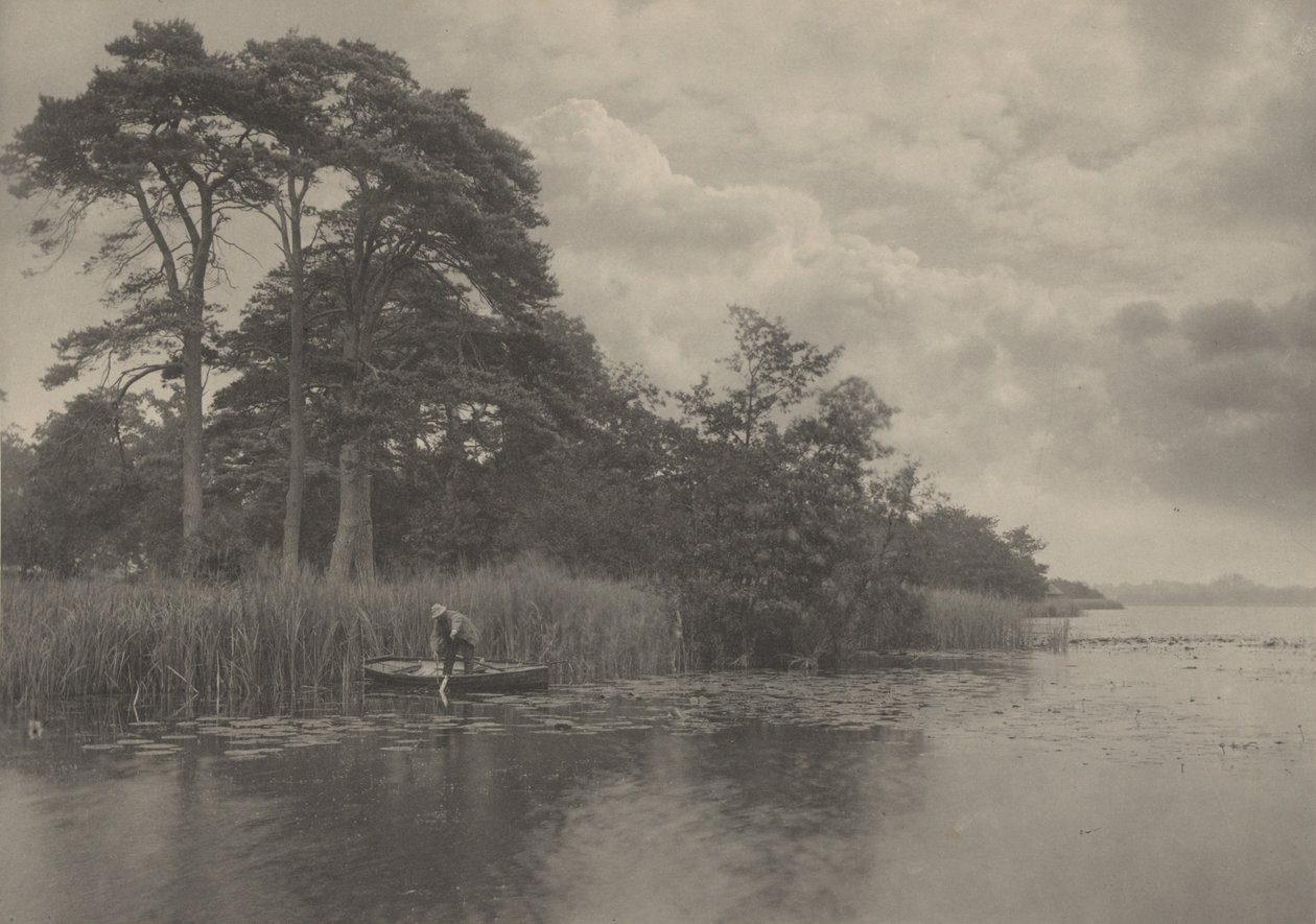 The Haunt of the Pike,1887 (foto) af Peter Henry Emerson