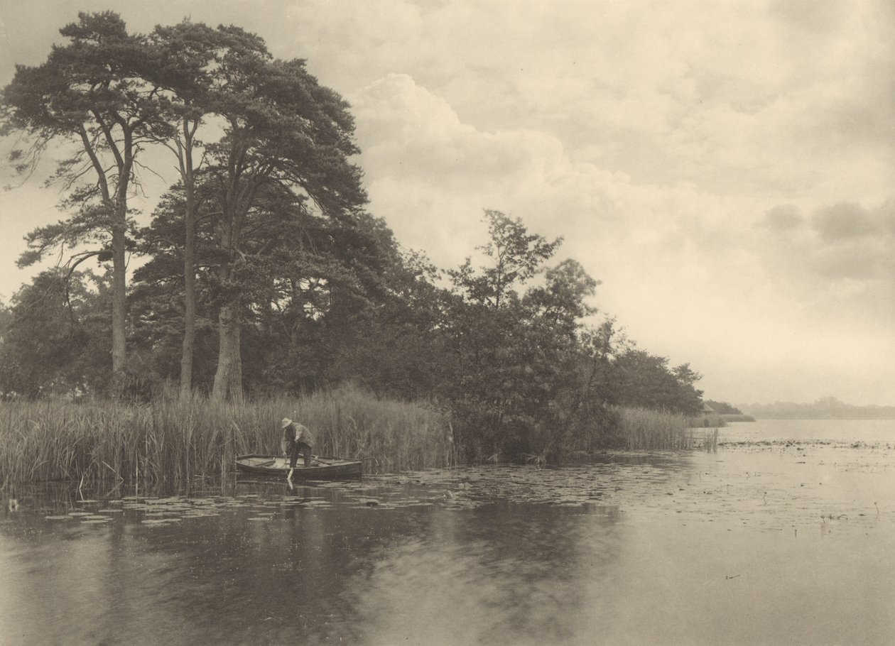 Geddes aborres opholdssted af Peter Henry Emerson
