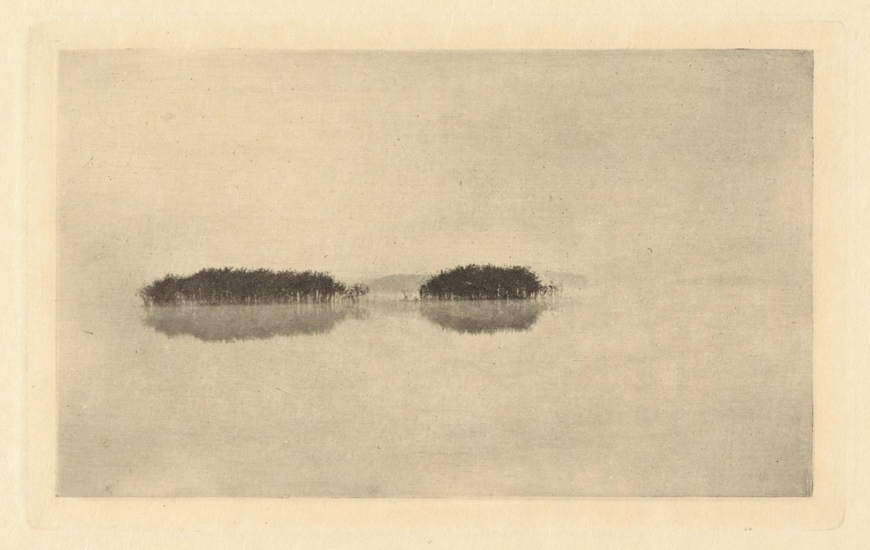 The Lone Lagoon, i eller før 1895. af Peter Henry Emerson