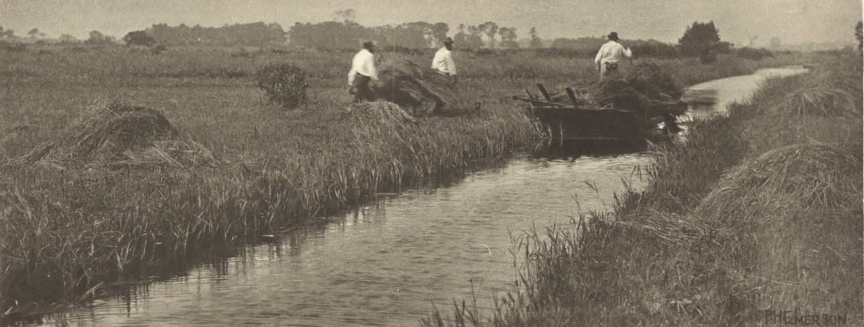 Høsten af siv af Peter Henry Emerson
