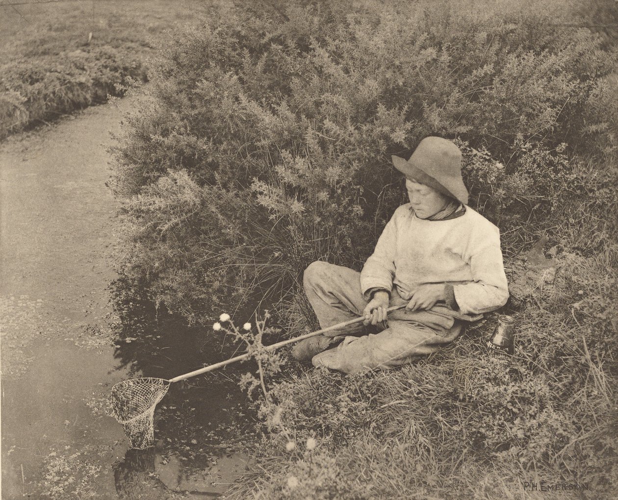 Den strittende rygfanger af Peter Henry Emerson