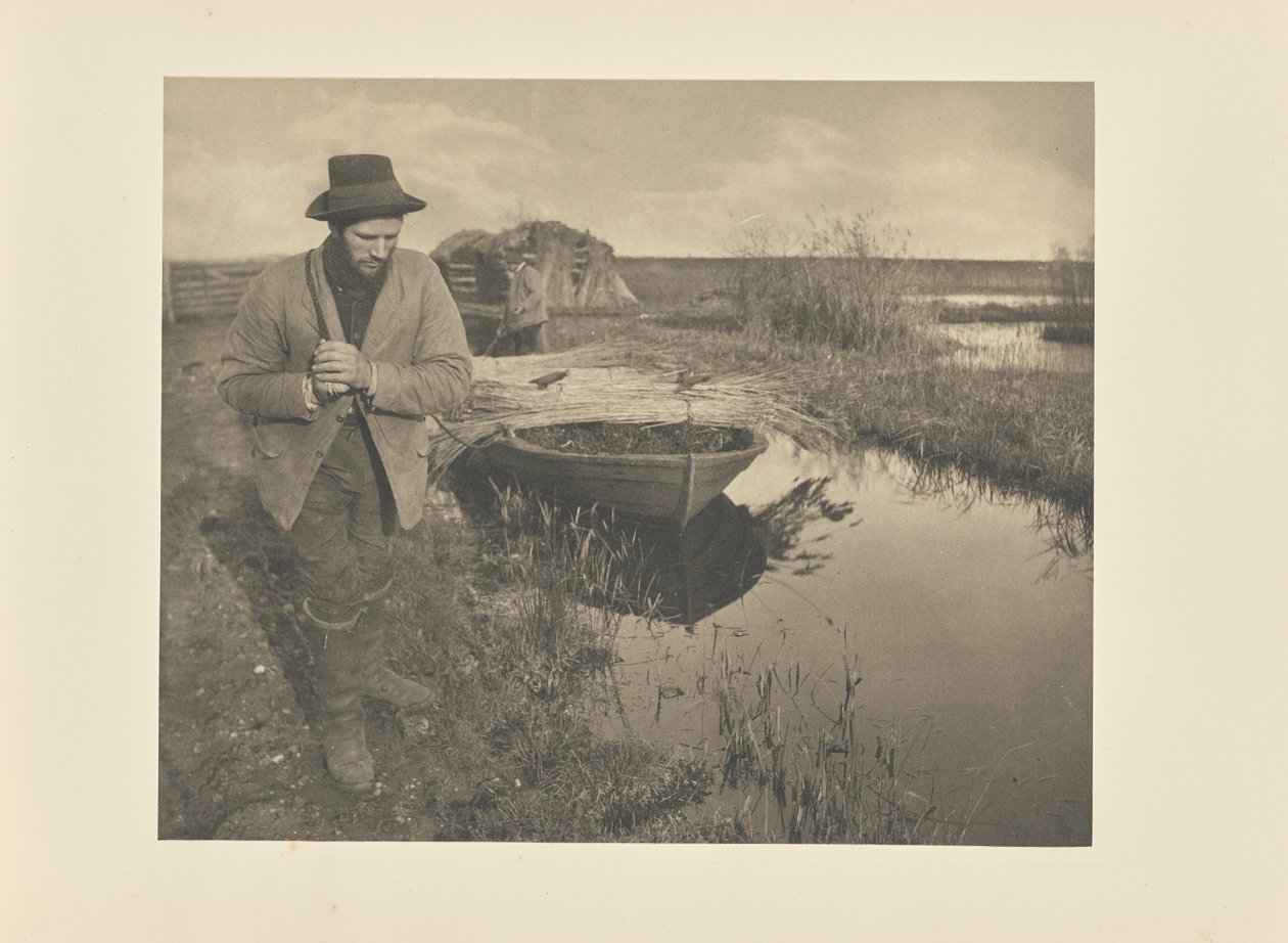 Slæbning af siv af Peter Henry Emerson