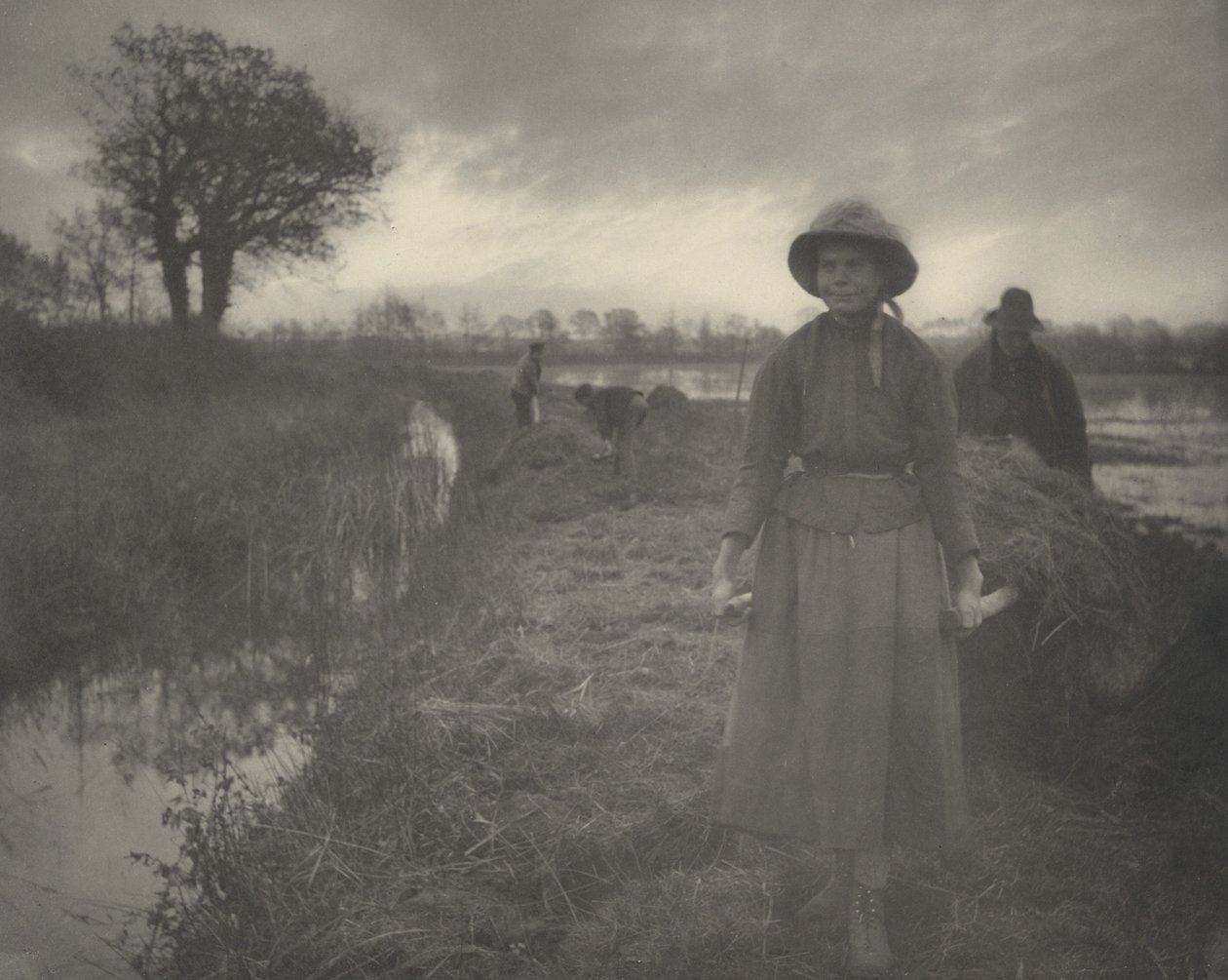 Polering af Marsh Hay af Peter Henry Emerson and T.F. Goodall