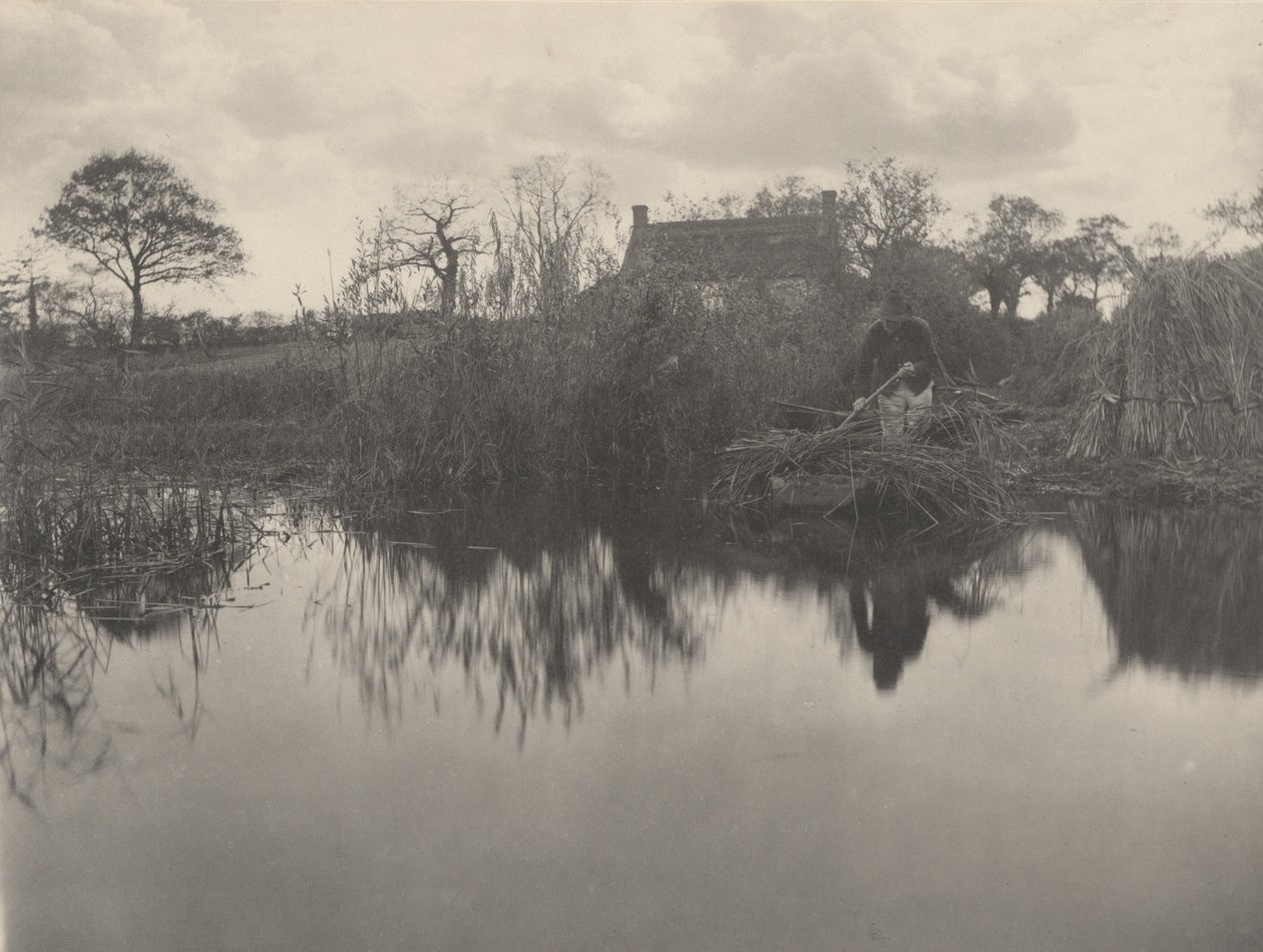 Quanting the Gladdon af Peter Henry Emerson and T.F. Goodall
