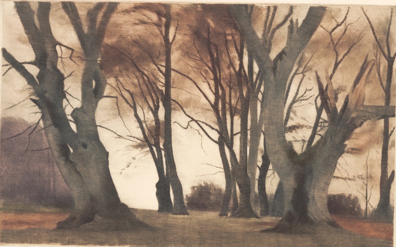 Bøgetræer i Ermelunden af Peter Vilhelm Ilsted