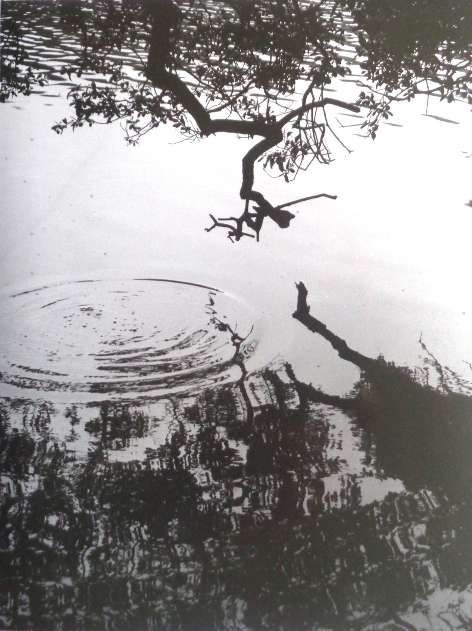 VINTAGE S/H-foto nr. 5, 1986, (FOTOGRAF) af Peter McClure