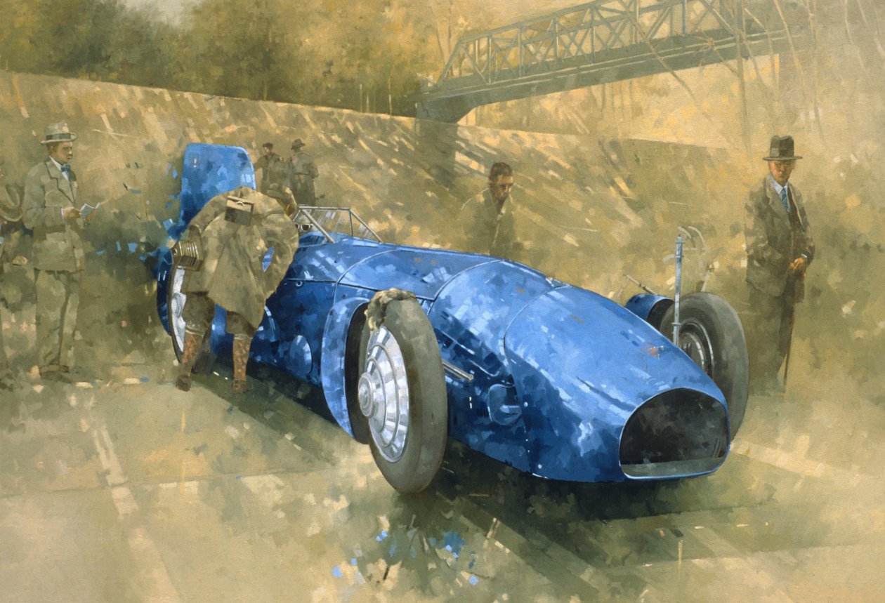 Bluebird at Brooklands (olie på lærred) af Peter Miller