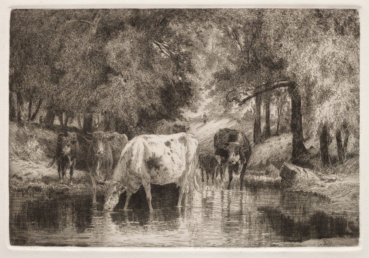 Poolen. af Peter Moran