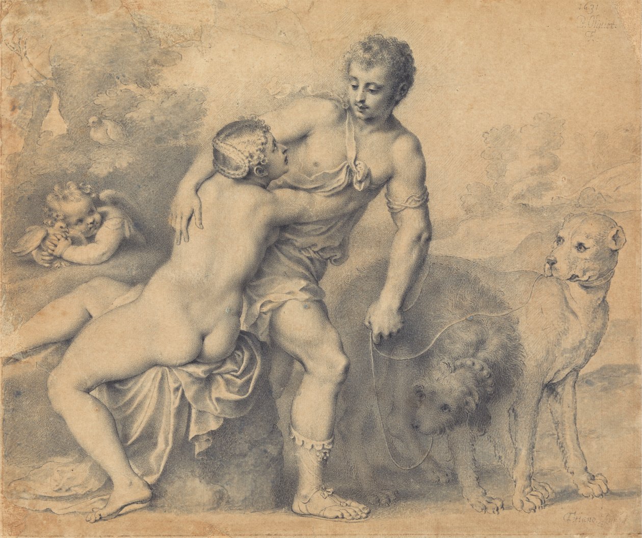 Venus og Adonis af Peter Oliver