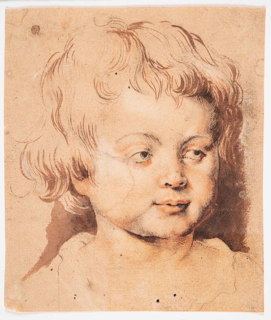 Børnehoved af Peter Paul Rubens