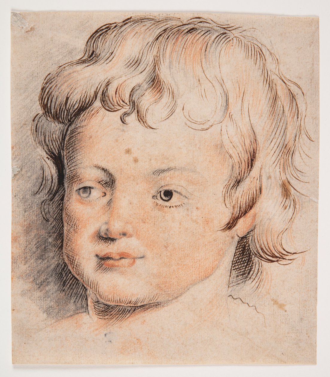 Barnehoved af Peter Paul Rubens