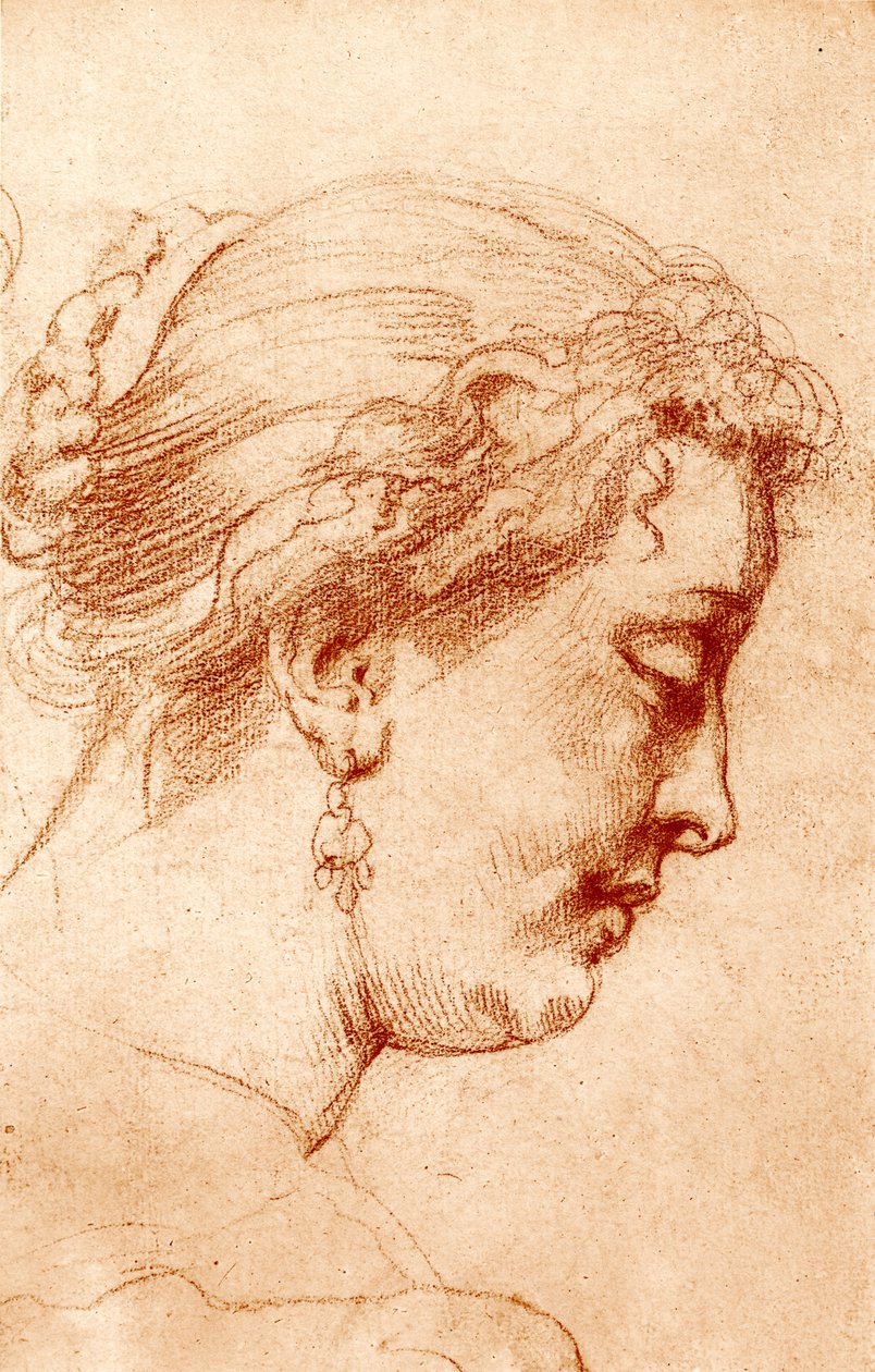 Kvindelig profilhoved af Peter Paul Rubens