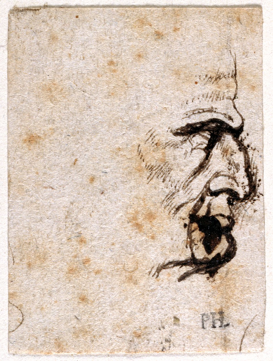 Galba, fra ti tegninger af otte af de første tolv Cæsarer, efter Giovanni da Cavinos medaljer (pen og blæk på papir) af Peter Paul Rubens