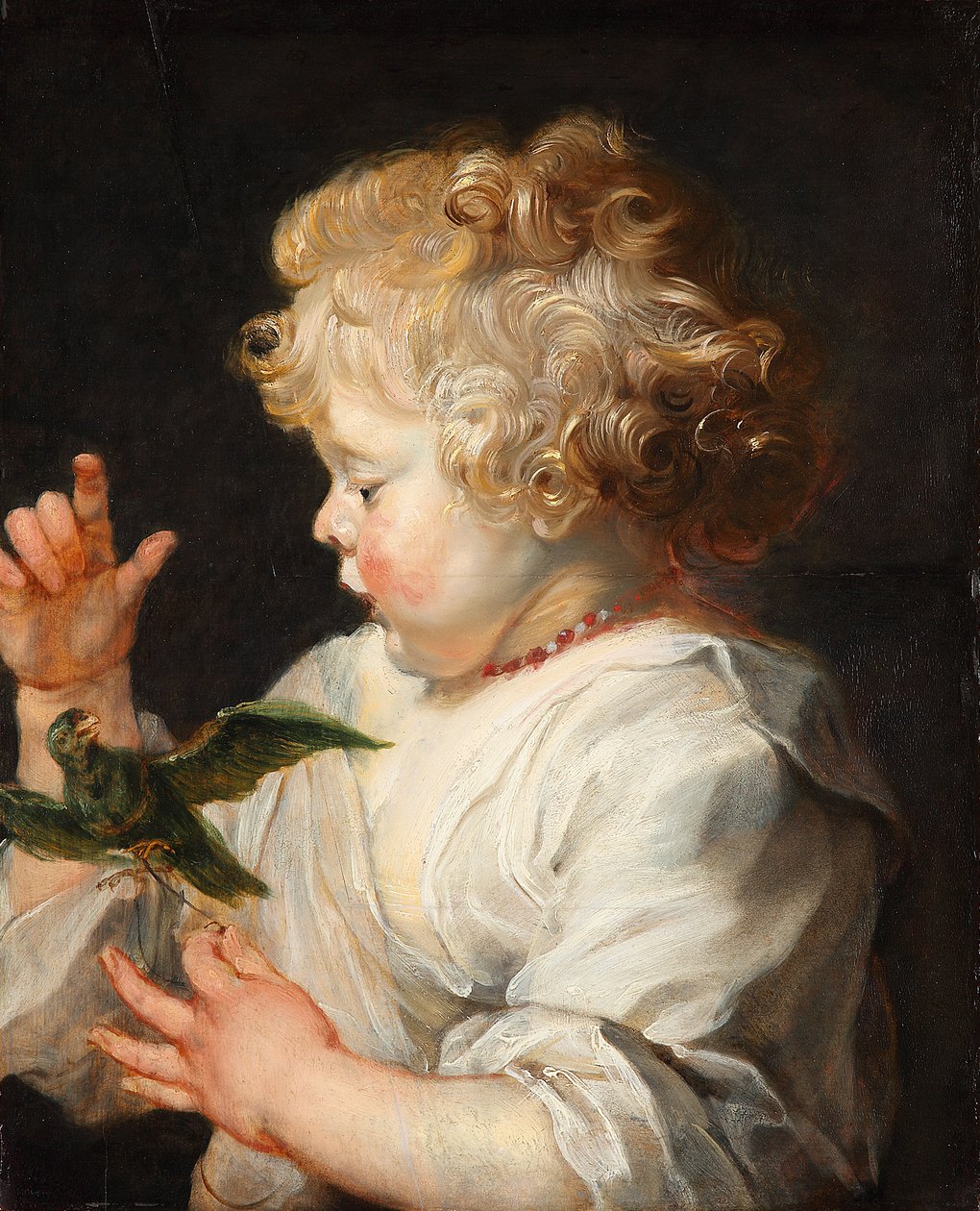 Tysk: Portræt af et barn med fugl Et barn med fugl af Peter Paul Rubens