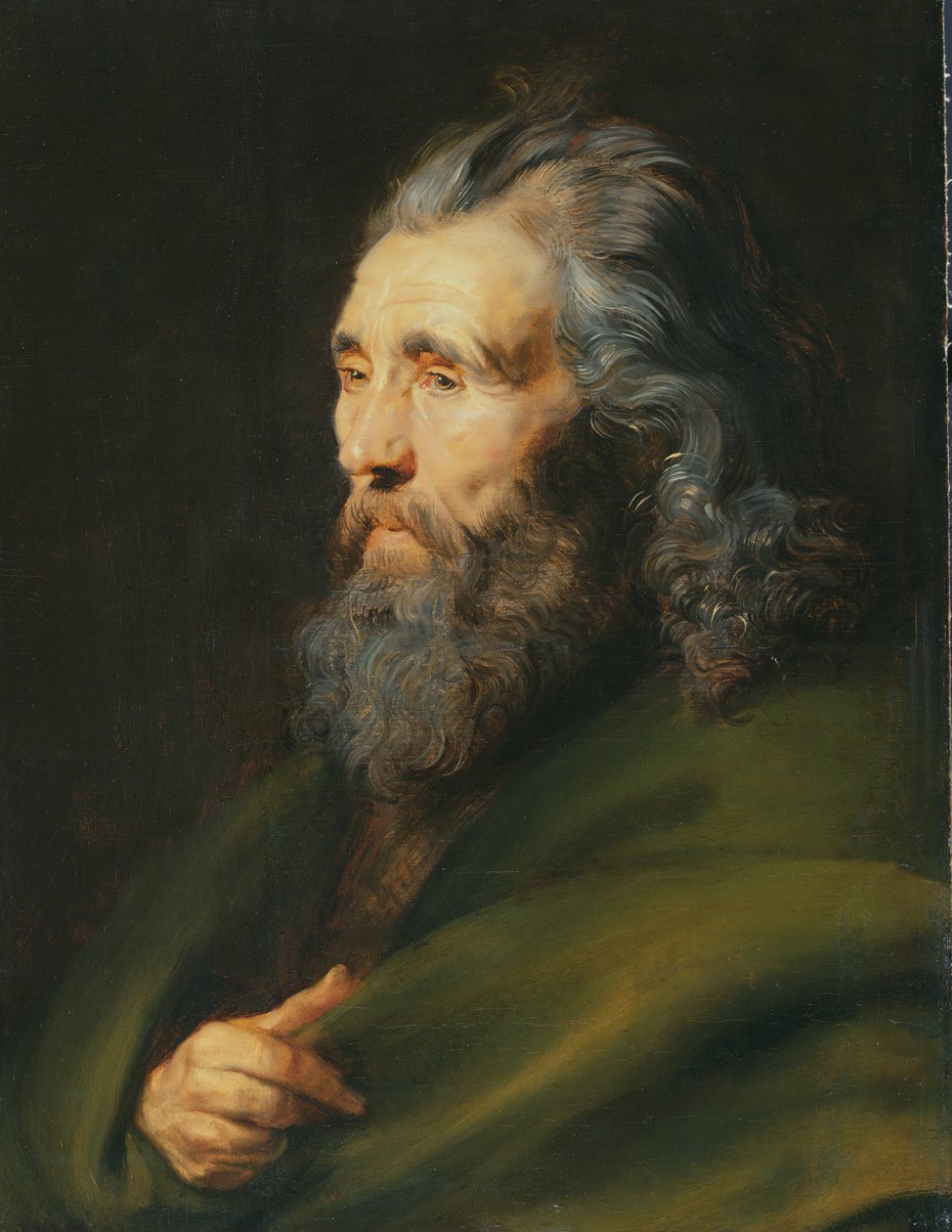 Hovedstudie af en skægget mand, ca. 1617 af Peter Paul Rubens