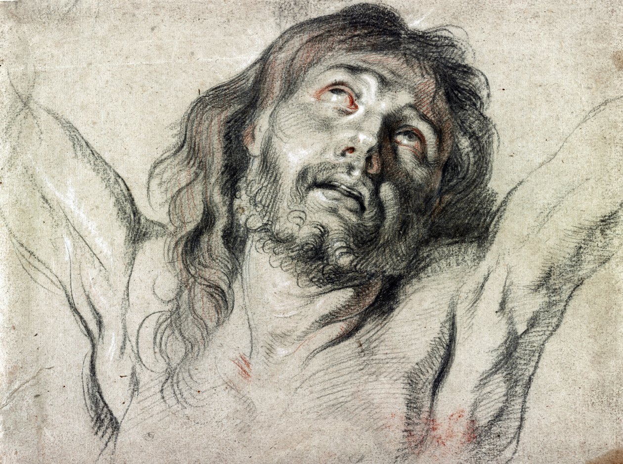 Kristi hoved på korset af Peter Paul Rubens (tegning) af Peter Paul Rubens