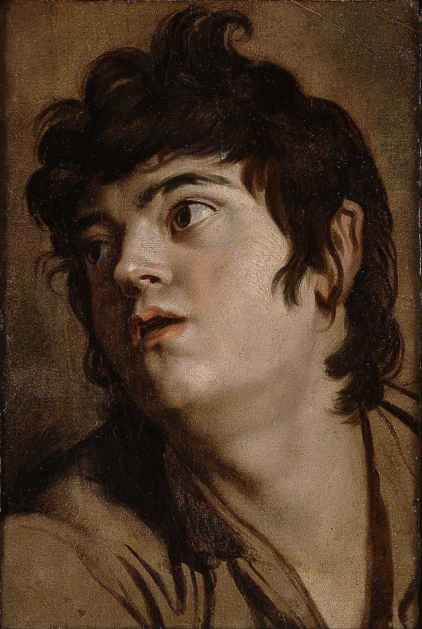 Hoved af en ung mand af Peter Paul Rubens