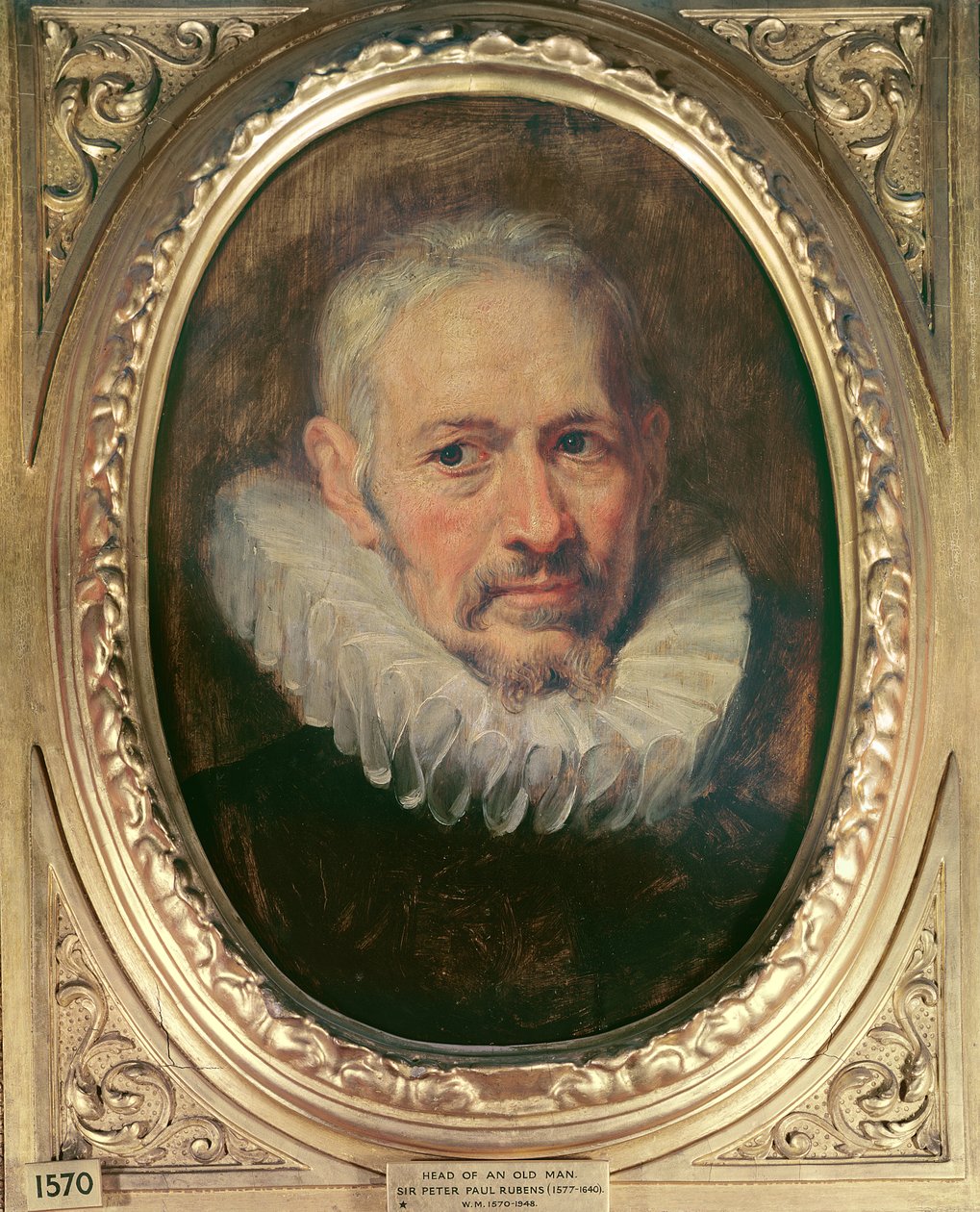 Head of an Old Man (olie på lærred) af Peter Paul Rubens