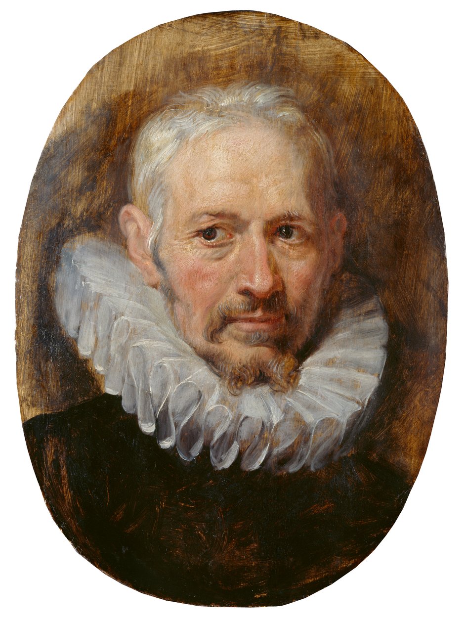Hoved af en gammel mand (olie på panel) af Peter Paul Rubens