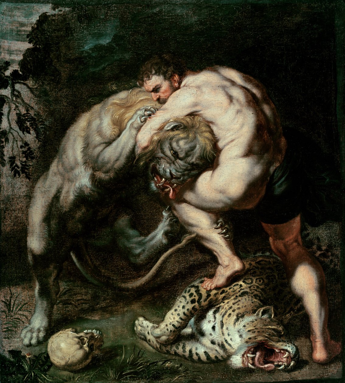 Hercules kæmper mod Nemean-løven af Peter Paul Rubens