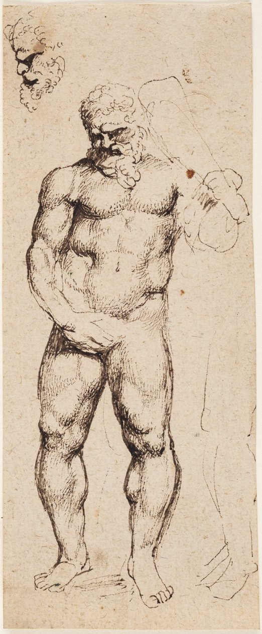 Herkules af Peter Paul Rubens