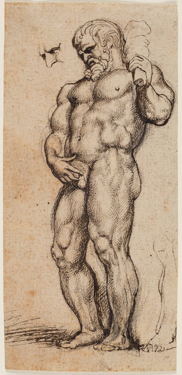 Herkules af Peter Paul Rubens