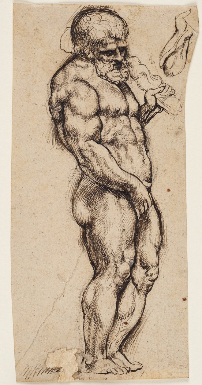 Herkules af Peter Paul Rubens