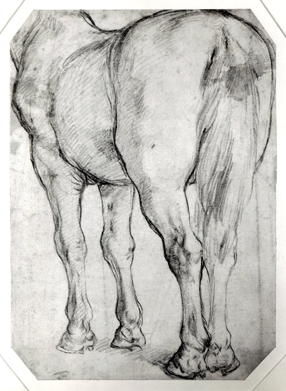 Hestens Ryg af Peter Paul Rubens