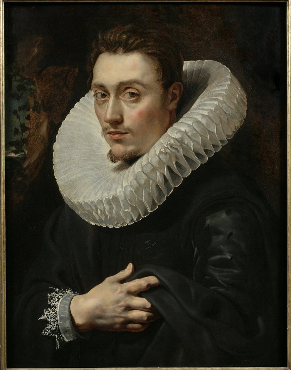 Portræt af en ung mand af Peter Paul Rubens