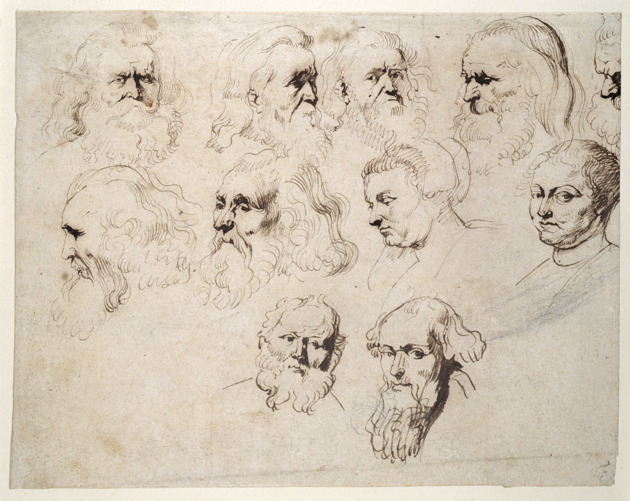 Syv undersøgelser af hovedet af en ældre skægget mand, med to andre af forskellige mænds hoveder og to af en kvinde, en med kasket, ca. 1616 (pen & blæk med kridt på papir) af Peter Paul Rubens