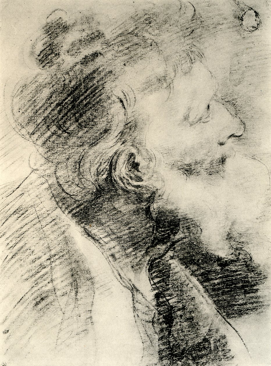 Studie for en gammel mands hoved, 1913. af Peter Paul Rubens