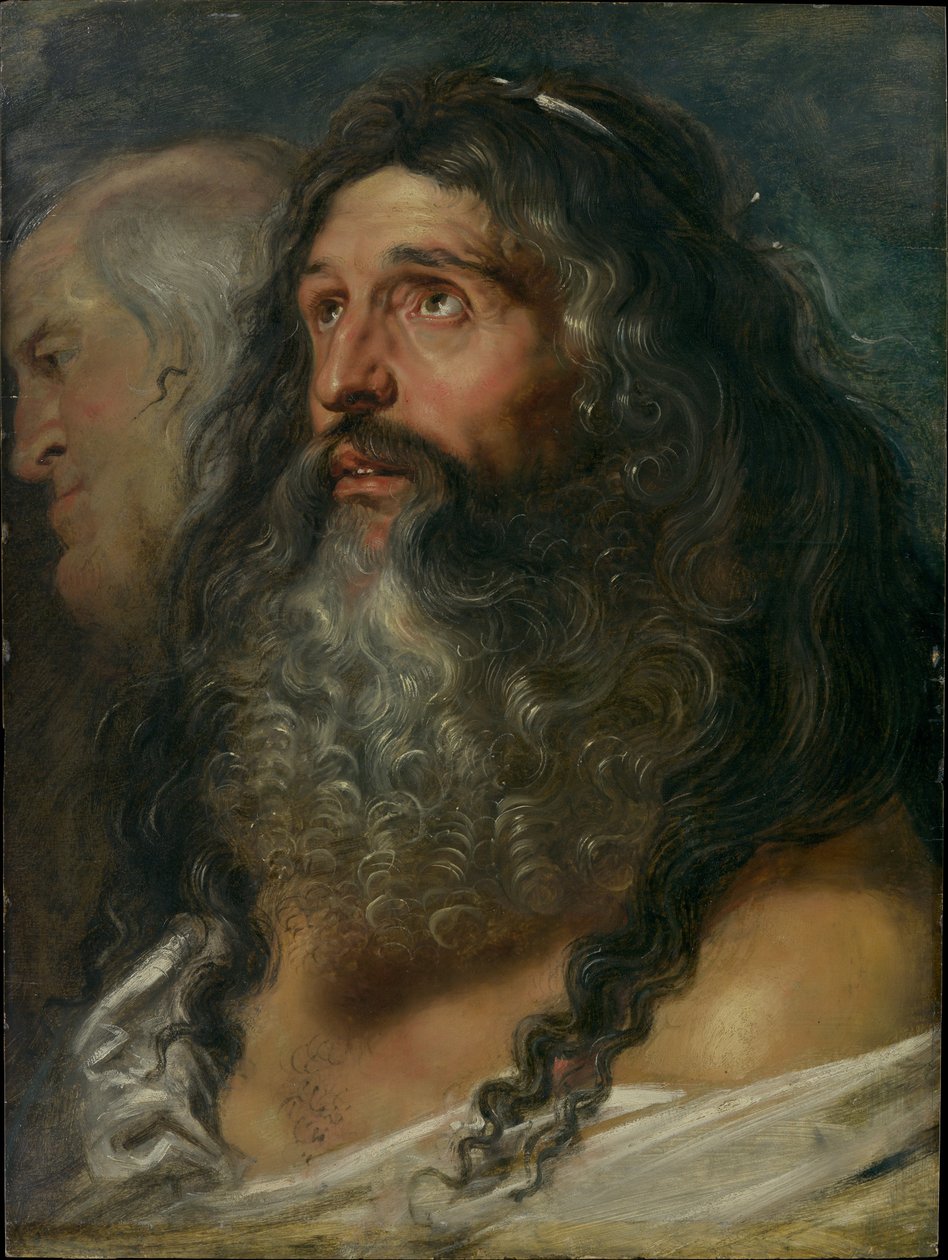 Studie af to hoveder af Peter Paul Rubens