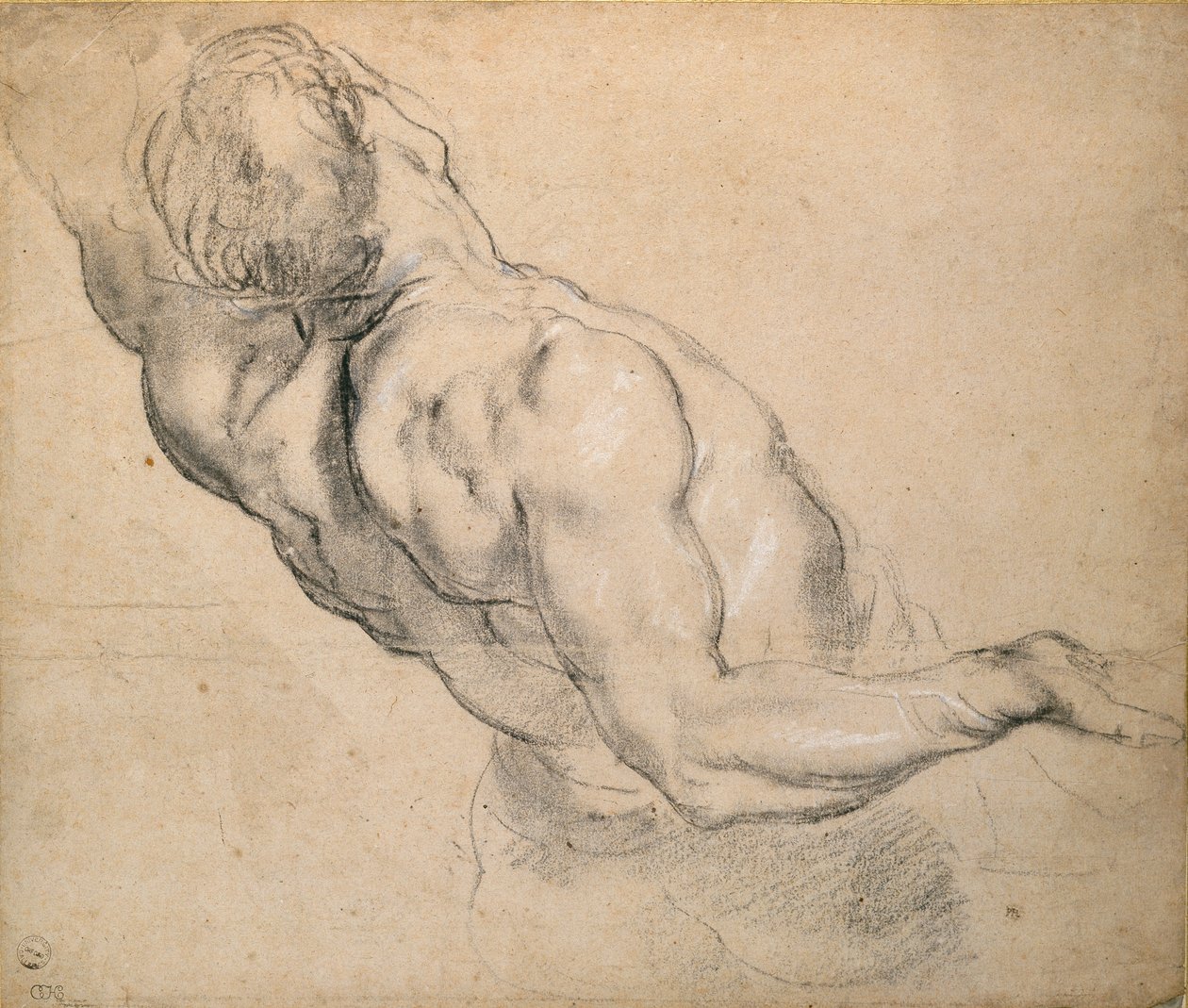 Studie af en nøgen mandlig Torso, 1600-1640 af Peter Paul Rubens