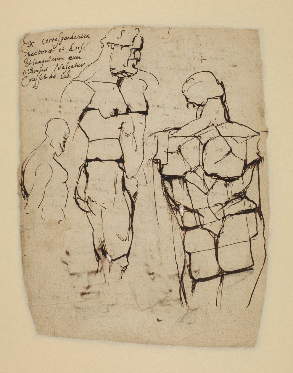 Studie af Farnese Hercules af Peter Paul Rubens