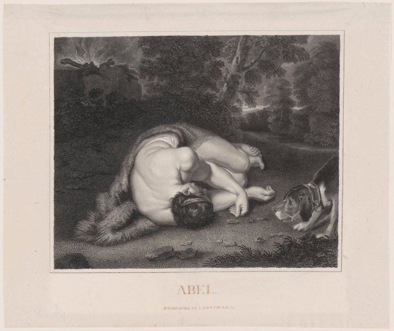 Abels død af Peter Paul Rubens