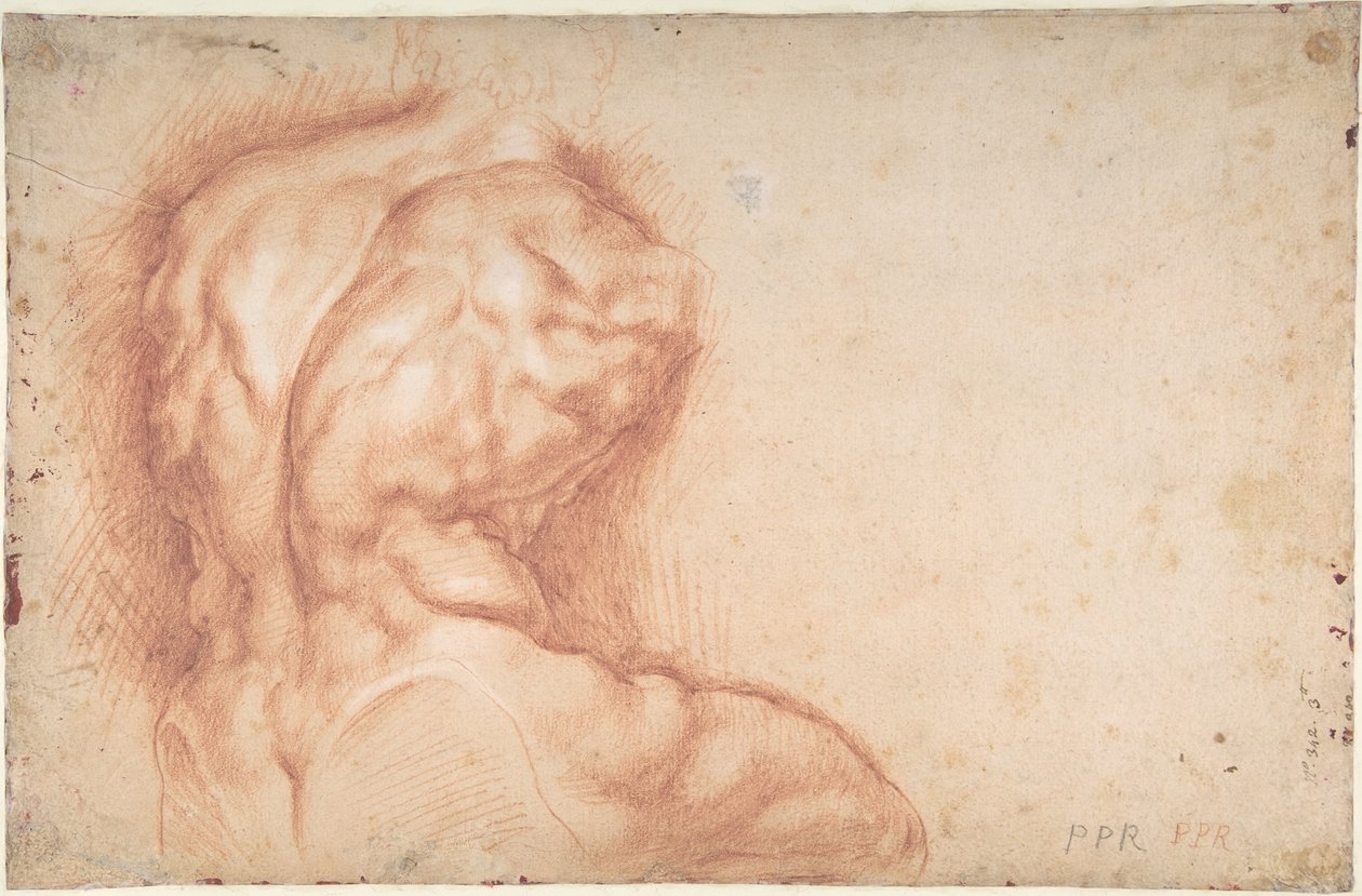 Jomfruen tilbedt af helgener (forside); Studie af Belvedere-torsoen (bagside) af Peter Paul Rubens