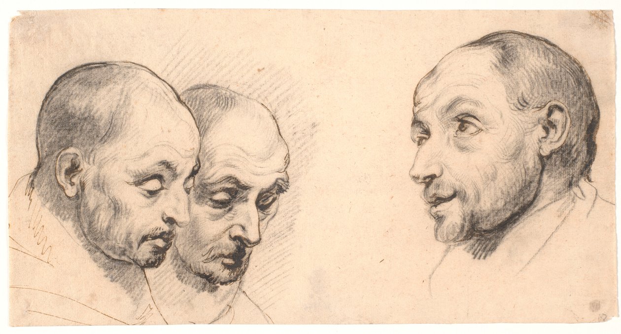 Tre mandshoveder af Peter Paul Rubens