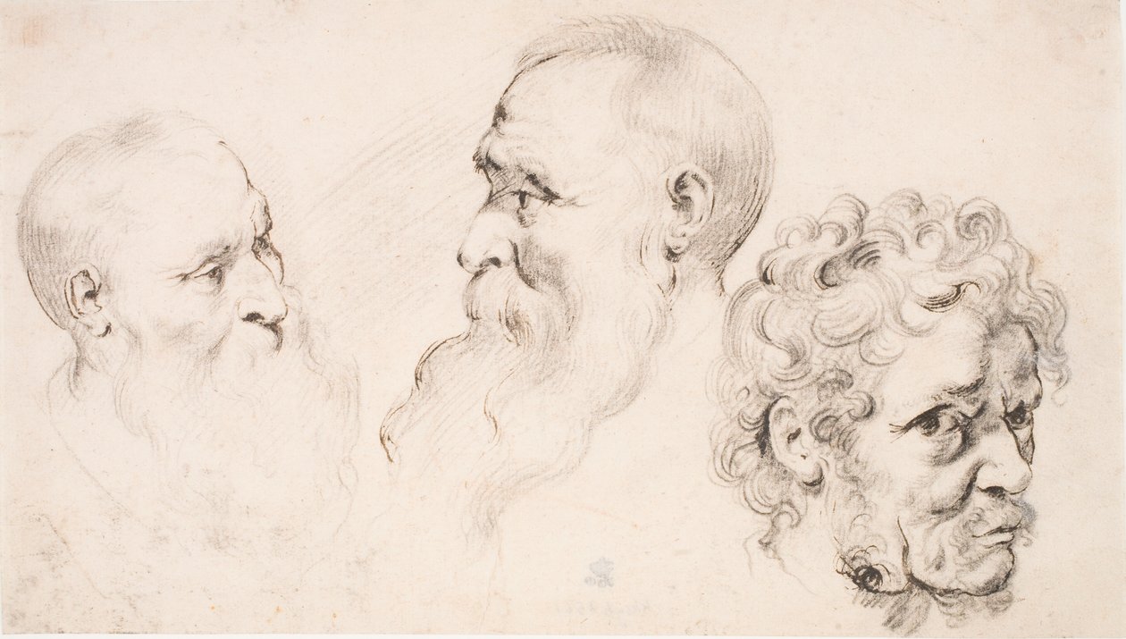 Tre mandshoveder af Peter Paul Rubens